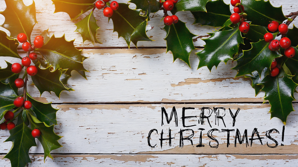 Merry Christmas image