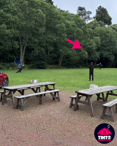 Throwing the frisbee...
