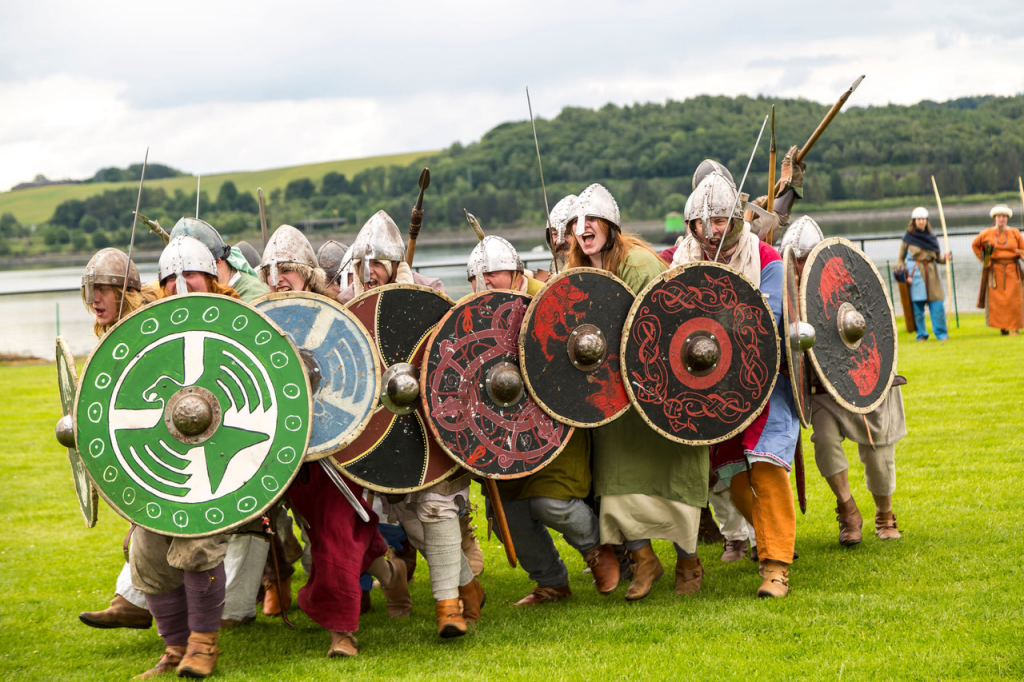 Vikings image
